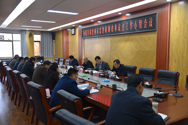 深化国家监察体制改革试点工作小组会议_副本.jpg
